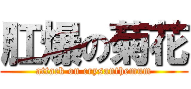 肛爆の菊花 (attack on crysanthemum)