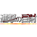 進撃の巨財 (attack on big cat)