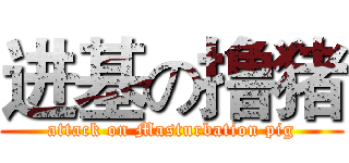 进基の撸猪 (attack on Masturbation pig)