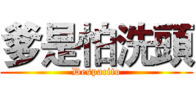 爹是怕洗頭 (Despacito)