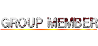 ＧＲＯＵＰ ＭＥＭＢＥＲ ()