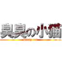 臭臭の小猫 (Dirty cat)