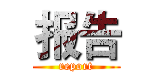 报告 (report)