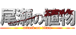 尾瀬の植物 (attack on titan)