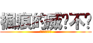 楓痕的威懂不懂 (傳說楓痕不敗北)