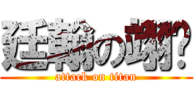 廷翰の翊婷 (attack on titan)