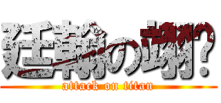 廷翰の翊婷 (attack on titan)