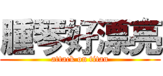 腫琴好漂亮 (attack on titan)
