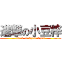 進撃の小豆梓 (attack on Azusa Azuki)