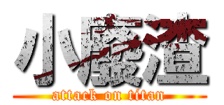 小廢渣 (attack on titan)