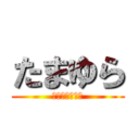 たまゆら (もあぐれっしぶ)