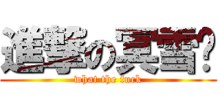 進撃の冥雪淚 (what the fuck)