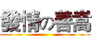 發情の善嵩 ()