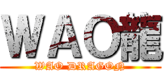 ＷＡＯ龍 (WAO DRAGON)