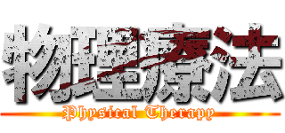 物理療法 (Physical Therapy)