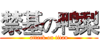 禁基の鸭梨 (attack on titan)
