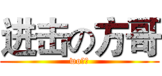 进击の方哥 (wo好帅)