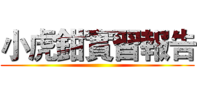 小虎鉗實習報告 ()