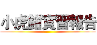 小虎鉗實習報告 ()