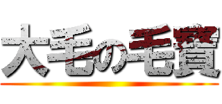 大毛の毛寶 ()