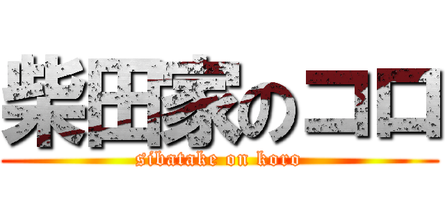 柴田家のコロ (sibatake on koro)