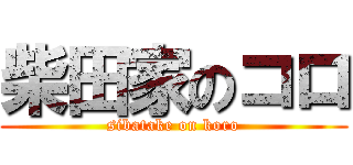 柴田家のコロ (sibatake on koro)