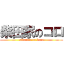 柴田家のコロ (sibatake on koro)