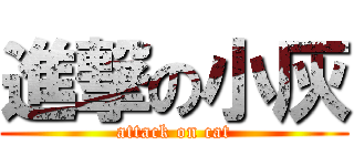 進撃の小灰 (attack on cat)