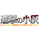 進撃の小灰 (attack on cat)
