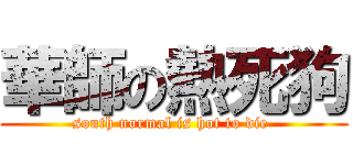 華師の熱死狗 (south normal is hot to die )