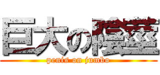 巨大の陰莖 (penis on jumbo)