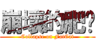 崩壞的肥貓 (Collapse on FatCat)
