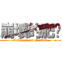 崩壞的肥貓 (Collapse on FatCat)