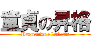 童貞の昇格 (Promotion of virgin)