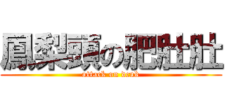 鳳梨頭の肥肚肚 (attack on dcuk)