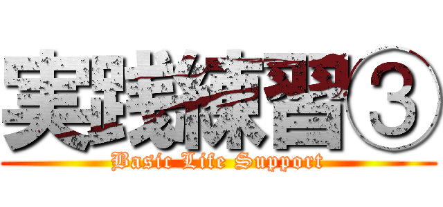 実践練習③ (Basic Life Support)