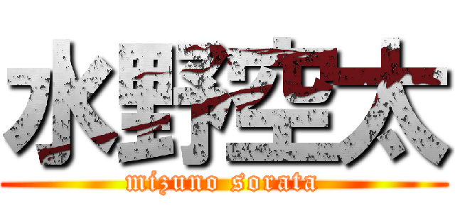 水野空太 (mizuno sorata)