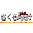 さくら咲け (sakura miyawaki)