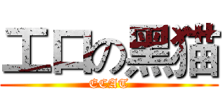 工口の黑猫 (ECAT)