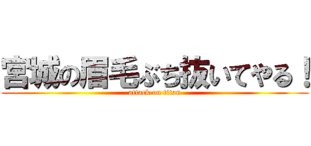 宮城の眉毛ぶち抜いてやる！ (attack on titan)