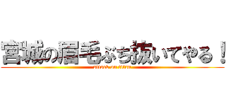 宮城の眉毛ぶち抜いてやる！ (attack on titan)