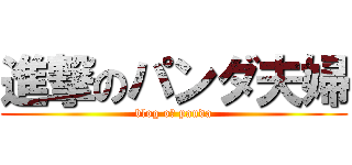 進撃のパンダ夫婦 (blog oｆ panda)