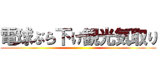 電球ぶら下げ観光気取り ()