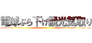 電球ぶら下げ観光気取り ()