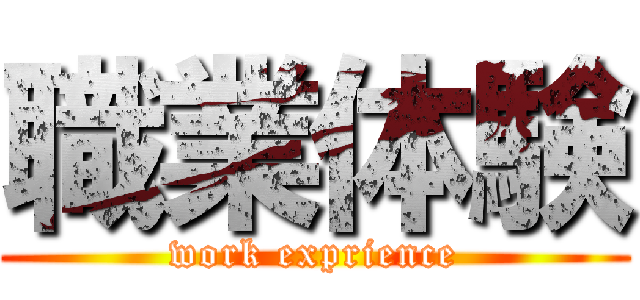 職業体験 (work exprience)