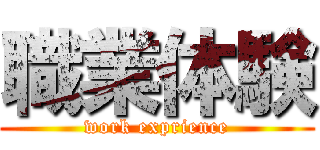 職業体験 (work exprience)