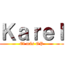 Ｋａｒｅｌ (El más OP)