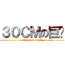 ３０ＣＭの巨屌 (30 cm on dick)