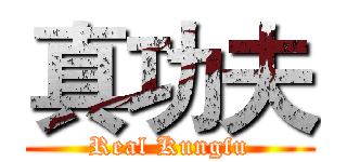 真功夫 (Real Kungfu)