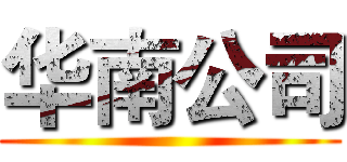 华南公司 ()